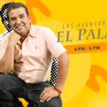 WEB PALAS (1)